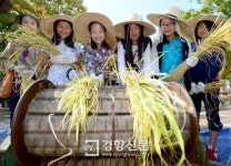 [경향포토]벼베고 탈곡하는 아이들