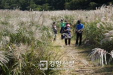 제주 거문오름 억새길 오세요