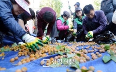[경향포토]영등포구 주민 은행줍기