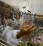 [경향포토]쏘지 않는 벌