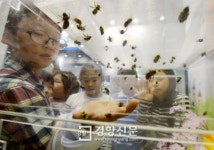 [경향포토]뒤영벌 만져보는 어린이