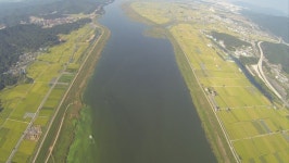 [4대강 녹조 화보]녹조에 덮이고 재퇴적에 멍들고… 4대강의 적나라한 맨얼굴