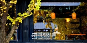 [경향포토]가을...우체국앞에서