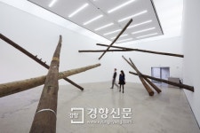 공간 재해석의 힘, 칼리토 카르발료사 국내 첫 전시회