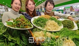 [경향포토]이젠 겨울밥상에도 봄나물이