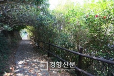 여수 거문도 여객선 요금 25% 할인