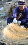 [경향포토]용마름 꼬는 어르신