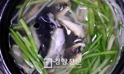 통영의 맛, 제대로 보여드립니다