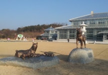 경주 토종견 ‘동경이’ 상징물 동궁원에 설치