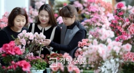 [경향포토]철쭉꽃 살펴보는 서초구청 직원들