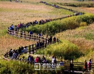 순천시, 순천만~봉화산둘레길 까지 ‘걷는 여행길’소개