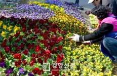 [경향포토]봄기운 솔솔 왕십리