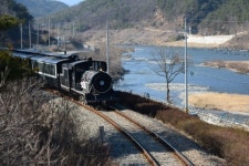 섬진강의 3색 봄을 만나다