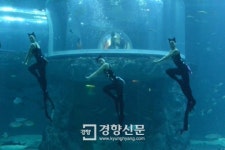 한화아쿠아플라넷여수 ‘마린걸스’ 고양이 변신 보러 오세요