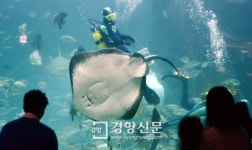 [경향포토]아쿠아플라넷 일산 10일 개장