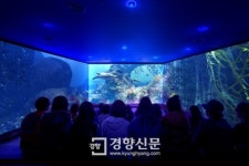 한화아쿠아플라넷 여수, ‘다면입체 영상관 새단장’ 11일 개장