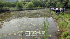 [경향포토]금수원 내부 가물치 양식장