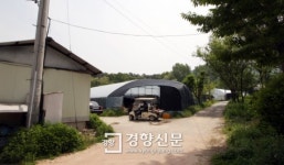 [경향포토]금수원 내부 농장 공개