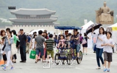 [경향포토]차도를 걸어보아요