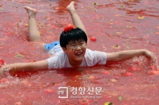 [경향포토]토마토와 함께 물놀이