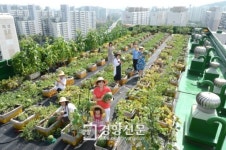 [경향포토]옥상 텃밭