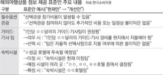 영남관광해외여행사주 | 해외여행, 오늘부터 ‘필수 옵션 관광’ 없어진다
