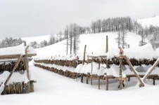 평창군 ‘명품 황태 특구’ 추진