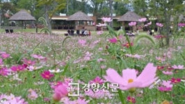 생태도시 순천, 한가위 맞아 풍성한 프로그램 마련