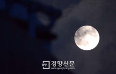 추석 보름달 가까이서 보려고… 술 취해 높이 15m 육교 아치 오른 남성
