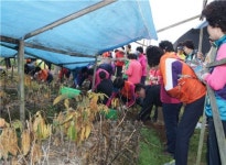 홍천군 “명품축제 관광마케팅 팸투어 실시”