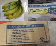 신세계푸드 등 일부 수입 바나나서 농약 검출, 회수 조치