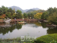 경남도청 연못 물고기 도둑…알고보니 천연기념물 수달?