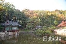 정조와 함께 ‘왕의 정원’ 창덕궁을 걷다