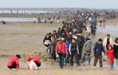 충남 보령 무창포, 7∼9일 ‘모세의 기적’