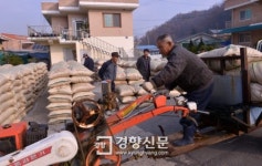 [경향포토]경운기 몰고 수매현장 도착한 할배농부