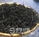 전국영양교사회 회장단 “완도산 톳 급식재료 탐난다”