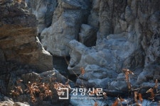 바람과 물, 억겁의 시간을 품은 ‘원시’ 왕피천 계곡