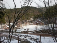 순천자연휴양림, ‘치유공간’명성 연간 2만명 찾아 인기