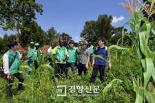 [경향포토]우간다 옥수수농장 살펴보는 새마을운동 평가단