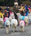 [포토뉴스]청마야 안녕… 새해는 청양의 해