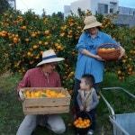 [저성장시대 희망 찾기]교사 대신 농장 택한 부부, 출세=행복공식 버리자 절대 행복이 찾아왔다