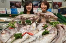 [경향포토]저렴한 대구 사가세요
