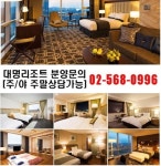 ‘대명리조트 콘도회원권’으로 겨울레포츠 실속있게 즐기자!