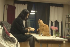 SBS ‘TV 동물농장’ 700회… 우리를 눈뜨게 한 15년, ‘애완’이 ‘반려’가 되었다