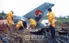 항공기 추락사고로 가족 잃고···주운 신분증으로 새 삶 살려던 30대 임신부 집행유예 선고