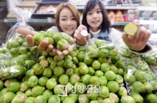 [경향포토]롯데마트, 미니양배추 선보여