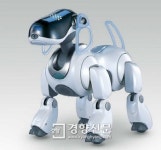 로봇강아지 수리 중단으로 곤경에 처한 노부인