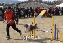 울산에 전국 첫 ‘반려동물 문화센터’ 건립