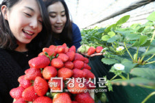 산·들·바다로 힐링여행 떠나요···주말 전국 축제·콘서트 총정리