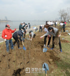 [경향포토]한강을 숲으로 만들어요